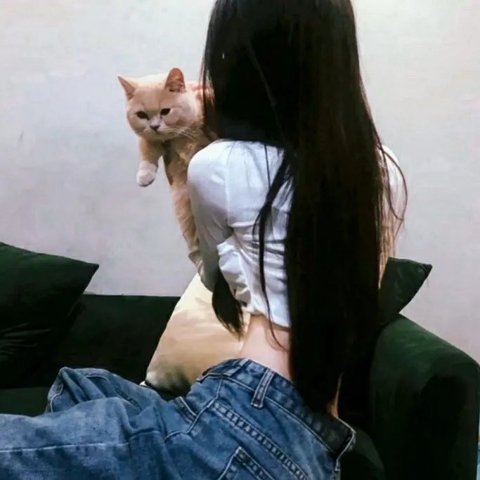 泰山得子记